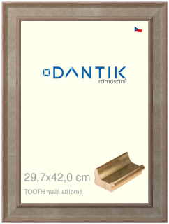 DANTIK rám na obraz 29,7x42 | TOOTH malá stříbrná (Plexi Čiré)