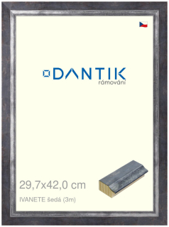 DANTIK rám na obraz 29,7x42 | IVANETE šedá (Plexi Čiré)