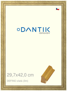 DANTIK rám na obraz 29,7x42 | DELFINO zlatá (Plexi Čiré)