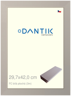 DANTIK rám na obraz 29,7x42 | FC Bílá plochá (Plexi Čiré)