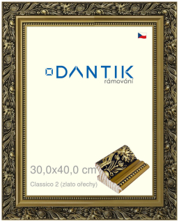 DANTIK rám na obraz 30x40 | Claico 2 (zlato ořechy) (Plexi Čiré)