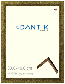 DANTIK rám na obraz 30x40 | SARTORI listy zlatá (Plexi Čiré)