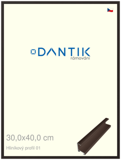 DANTIK rám na obraz 30x40 | ALU Hnědá matná (Plexi Čiré)