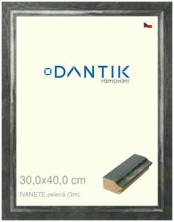 DANTIK rám na obraz 30x40 | IVANETE zelená (Plexi Čiré)