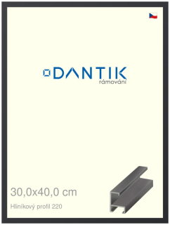 DANTIK rám na obraz 30x40 | ALU Černá matná (Plexi Čiré)