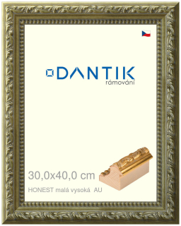 DANTIK rám na obraz 30x40 | HONEST malá vysoká AU (Plexi Čiré)