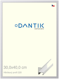 DANTIK rám na obraz 30x40 | ALU Bílá matná (Plexi Čiré)