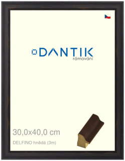 DANTIK rám na obraz 30x40 | DELFINO hnědá (Plexi Čiré)
