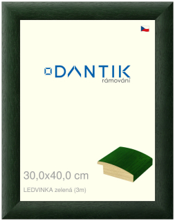 DANTIK rám na obraz 30x40 | LEDVINKA zelená (Plexi Čiré)