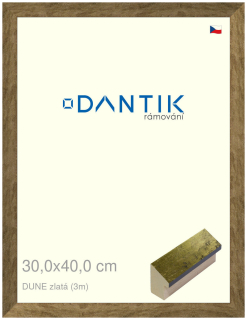 DANTIK rám na obraz 30x40 | DUNE zlatá (Plexi Čiré)