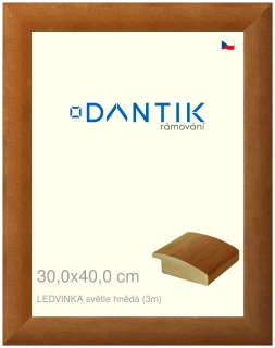DANTIK rám na obraz 30x40 | LEDVINKA světle hnědá (Plexi Čiré)