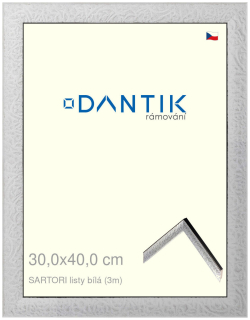 DANTIK rám na obraz 30x40 | SARTORI listy čílá (Plexi Čiré)