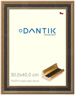 DANTIK rám na obraz 30x40 | TOOTH malá zlato černá (Plexi Čiré)