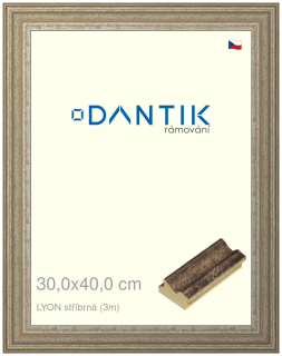 DANTIK rám na obraz 30x40 | LYON stříbrná (Plexi Čiré)