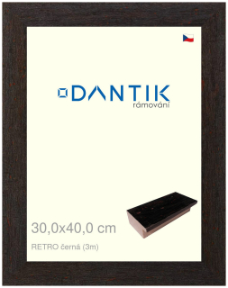 DANTIK rám na obraz 30x40 | RETRO černá (Plexi Čiré)