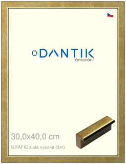 DANTIK rám na obraz 30x40 | GRAFIC zlatá vysoká (Plexi Čiré)