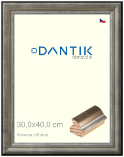 DANTIK rám na obraz 30x40 | ANIVERSA stříbrná (Plexi Čiré)