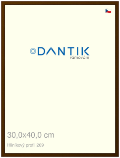 DANTIK rám na obraz 30x40 | ALU Hnědá umbra broušená (Plexi Čiré)