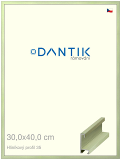 DANTIK rám na obraz 30x40 | ALU Dýha barevná zelená pastel (Plexi Čiré)