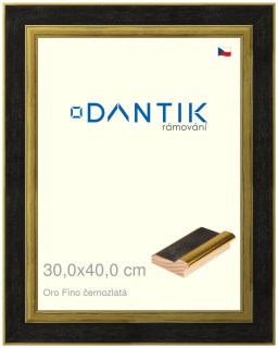 DANTIK rám na obraz 30x40 | Oro Fino černozlatá (Plexi Čiré)