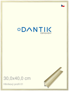 DANTIK rám na obraz 30x40 | ALU zlatá lesklá alternativa (Plexi Čiré)