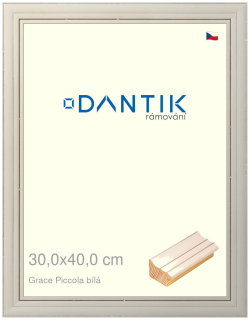 DANTIK rám na obraz 30x40 | Grace Piccola bílá (Plexi Čiré)