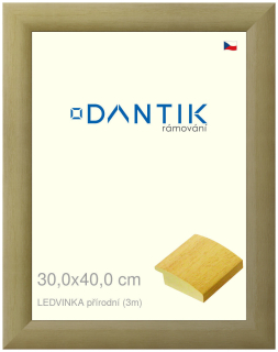 DANTIK rám na obraz 30x40 | LEDVINKA přírodní (Plexi Čiré)
