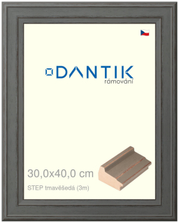 DANTIK rám na obraz 30x40 | STEP tmavěšedá (Plexi Čiré)