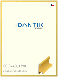 DANTIK rám na obraz 30x40 | ALU Dýha barevná žlutá citrus (Plexi Čiré)