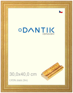 DANTIK rám na obraz 30x40 | LYON zlatá (Plexi Čiré)