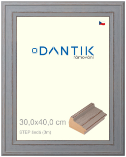 DANTIK rám na obraz 30x40 | STEP šedá (Plexi Čiré)