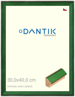 DANTIK rám na obraz 30x40 | INCLINATA colori zelená (Plexi Čiré)
