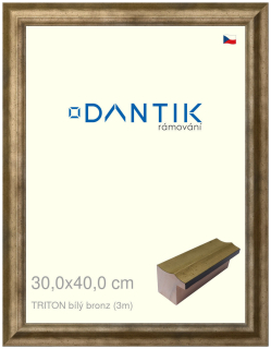 DANTIK rám na obraz 30x40 | TRITON bílý bronz (Plexi Čiré)