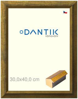 DANTIK rám na obraz 30x40 | Forgia Gold (Plexi Čiré)