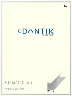DANTIK rám na obraz 30x40 | ALU Stříbrná lesklá (Plexi Čiré)