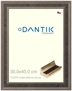 DANTIK rám na obraz 30x40 | TOOTH malá stříbrno černá (Plexi Čiré)