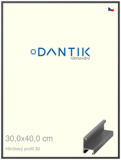 DANTIK rám na obraz 30x40 | ALU Dýha barevná šedá tmavá (Plexi Čiré)