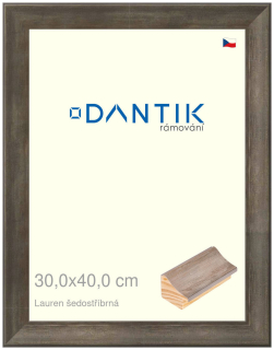 DANTIK rám na obraz 30x40 | Lauren šedostříbrná (Plexi Čiré)