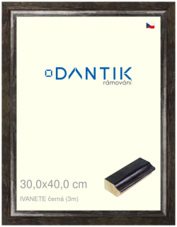 DANTIK rám na obraz 30x40 | IVANETE černá (Plexi Čiré)