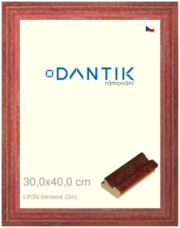 DANTIK rám na obraz 30x40 | LYON červená (Plexi Čiré)