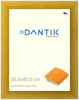 DANTIK rám na obraz 30x40 | LEDVINKA žlutá (Plexi Čiré)