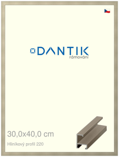 DANTIK rám na obraz 30x40 | ALU champagne (Plexi Čiré)