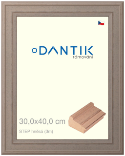 DANTIK rám na obraz 30x40 | STEP hnědá (Plexi Čiré)