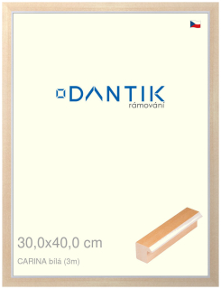 DANTIK rám na obraz 30x40 | CARINA Bílá (Plexi Čiré)