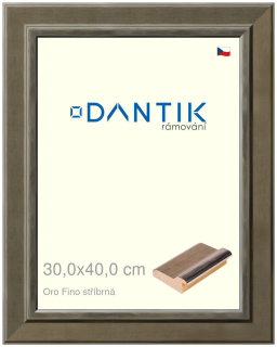 DANTIK rám na obraz 30x40 | Oro Fino stříbrná (Plexi Čiré)