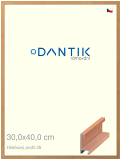 DANTIK rám na obraz 30x40 | ALU Dýha třešeň (Plexi Čiré)