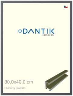 DANTIK rám na obraz 30x40 | ALU Platina matná (Plexi Čiré)