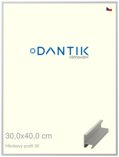 DANTIK rám na obraz 30x40 | ALU Stříbrná matná (Plexi Čiré)
