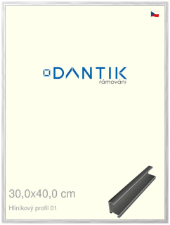 DANTIK rám na obraz 30x40 | ALU Stříbrná lesklá (Plexi Čiré)