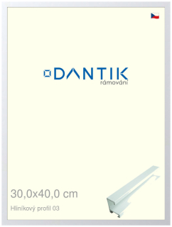 DANTIK rám na obraz 30x40 | ALU Bílá matná (Plexi Čiré)